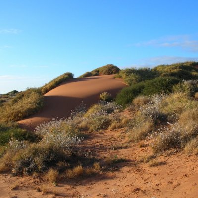 Faure Island in Shark Bay, Western Australia (Credit: Graham Fulton)